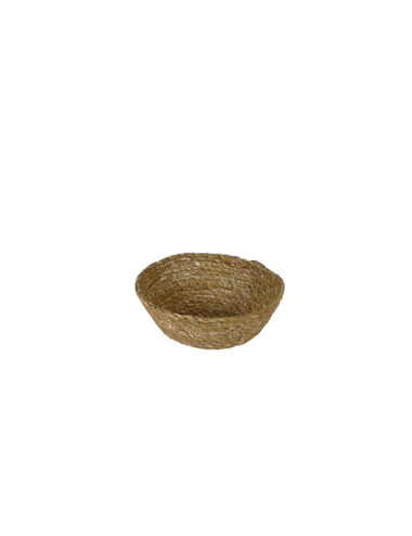 55804.jpg