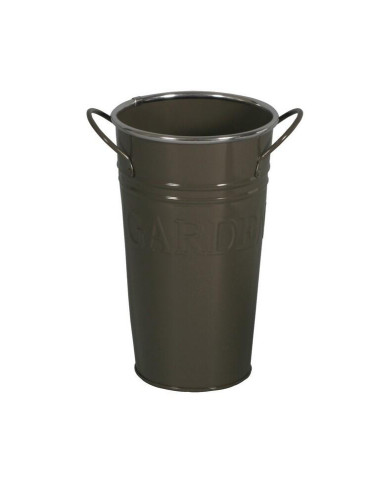 4324434.jpg