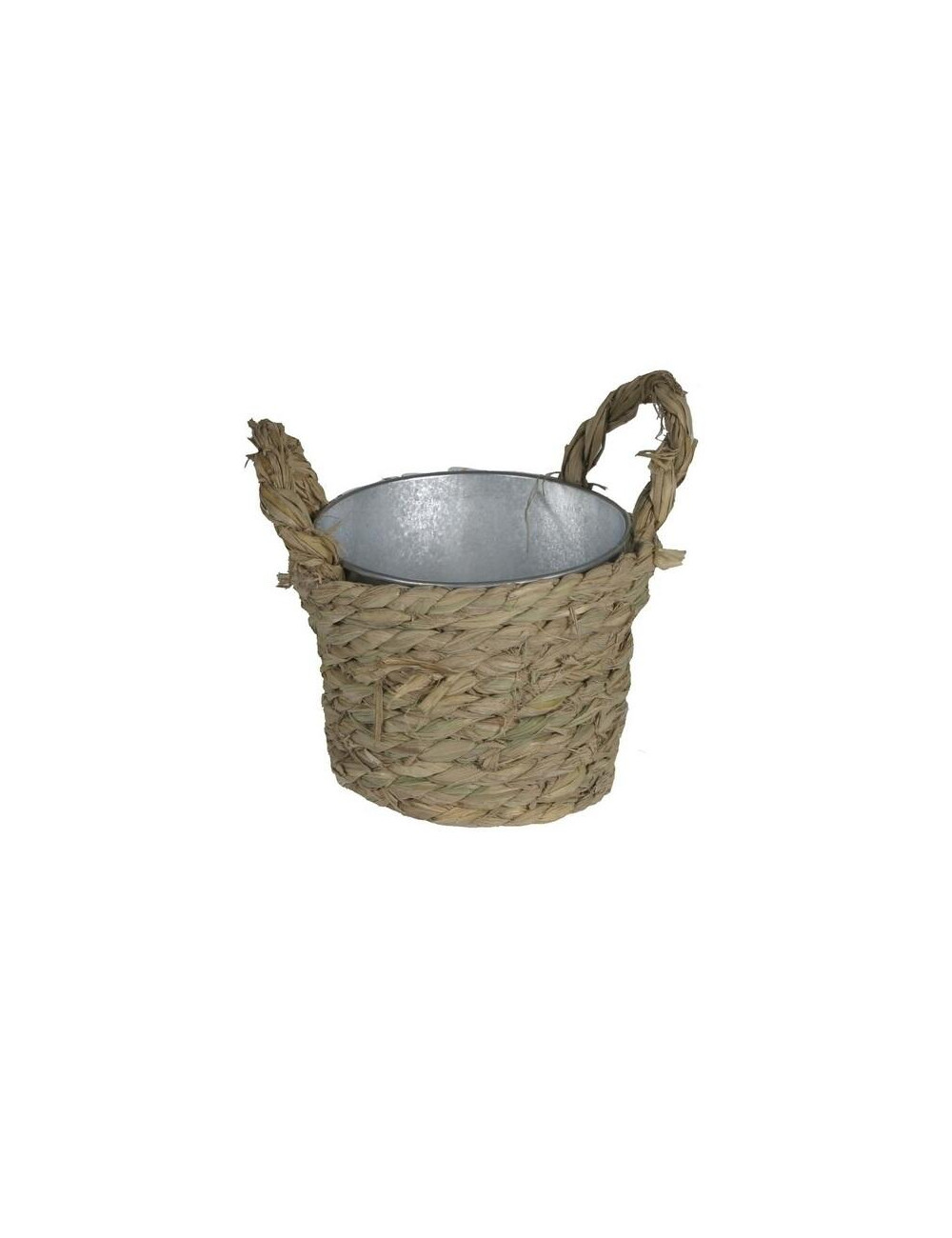 43721.jpg