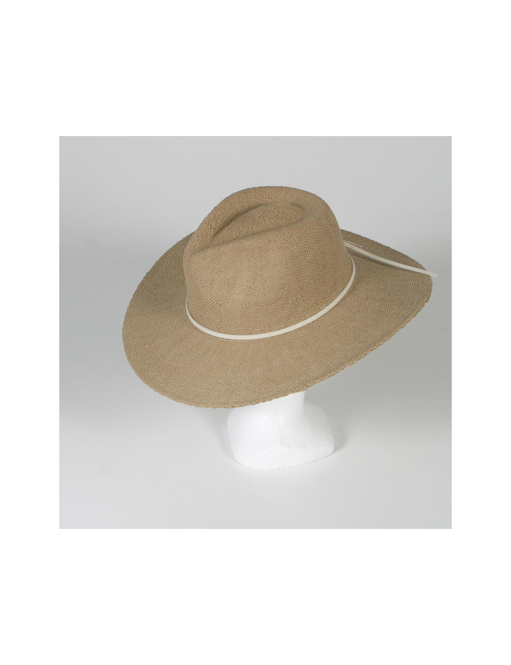 2244241.jpg 2244241.jpg