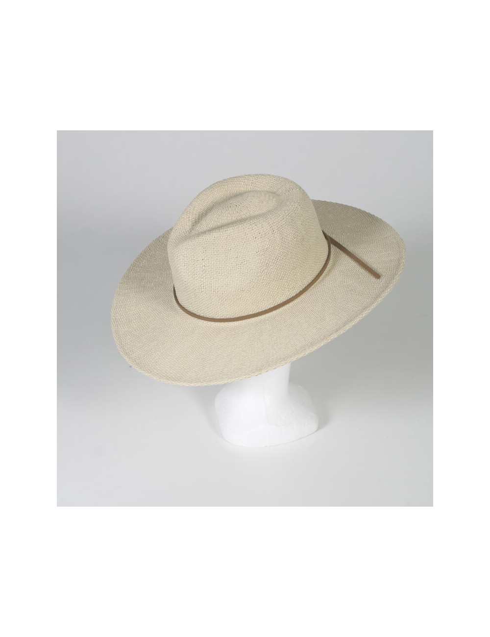 2244201.jpg 2244201.jpg