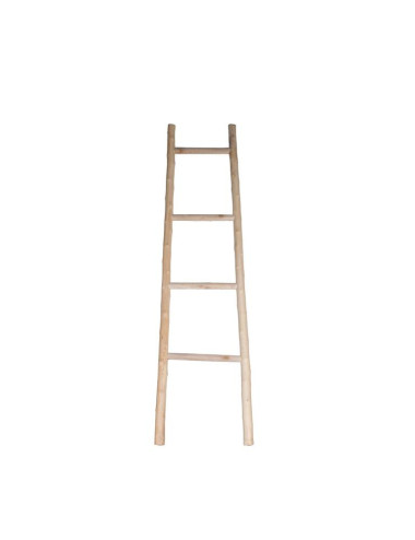 56503.jpg
