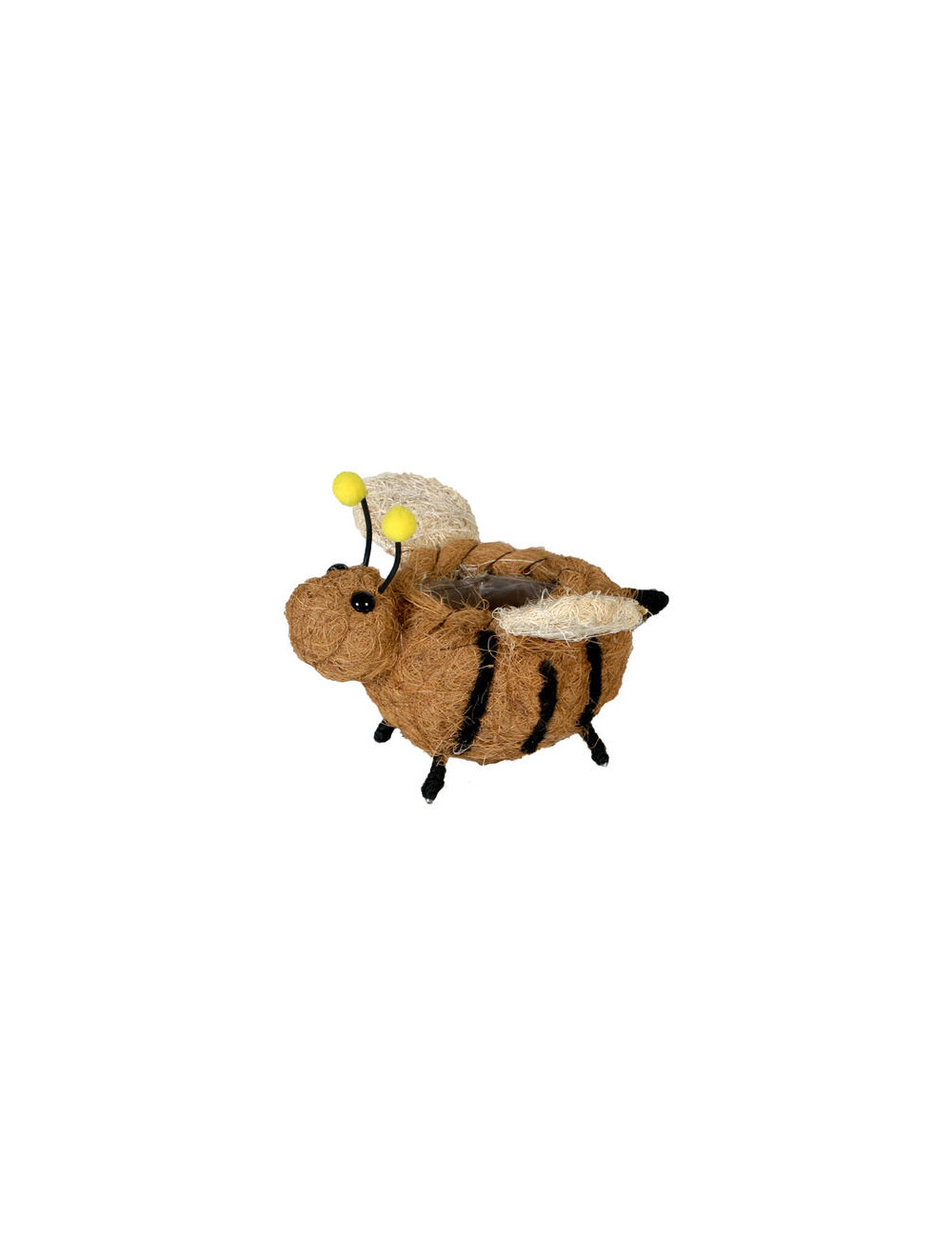 44312.jpg