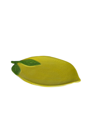55856.jpg