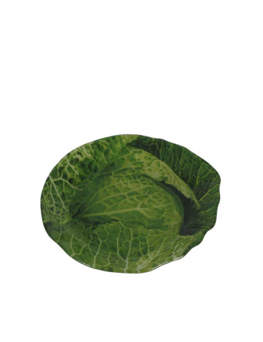 55582.jpg