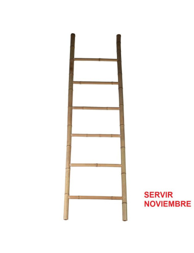 5641401.jpg