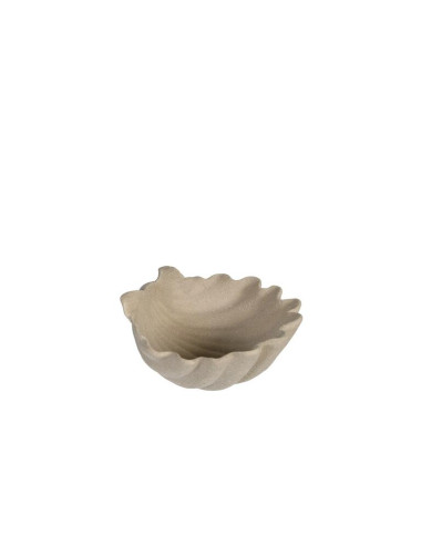 55865.jpg